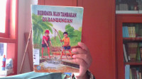 Image of Budidaya ikan tambakan di bandungan